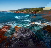 Boyds Tower to Saltwater Creek Walking Track - Sydney 4u