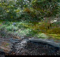 Browns Forest Loop Trail - Accommodation Sydney