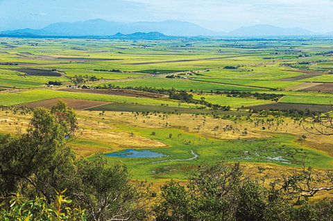 Burdekin - Accommodation Sydney 1