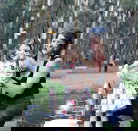 Buxton Trout and Salmon Farm