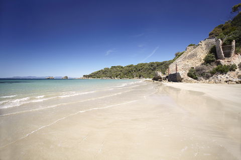 Cape Liptrap Coastal Park - Sydney 4u 1