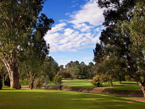Commercial Golf Course - Sydney 4u 0