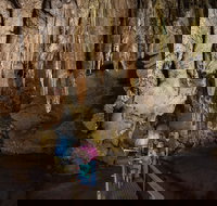 Cutta Cutta Caves Nature Park - Accommodation Sydney