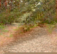 Daleys Point Walking Track - Accommodation Sydney