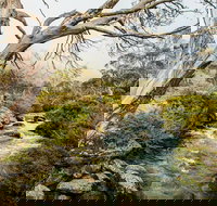 Dead Horse Gap walking track - Accommodation Sydney