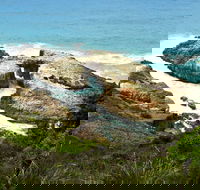 Diamond Head Loop Walk - Accommodation Sydney