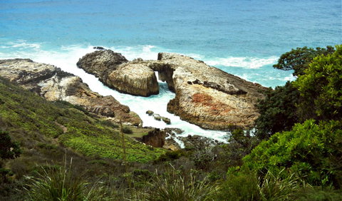 Diamond Head Loop Walk - Accommodation Sydney 0