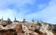 Dirk Hartog Island National Park - thumb 0