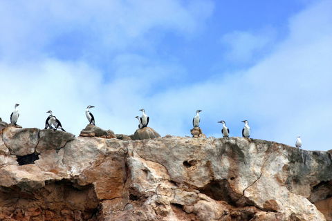 Dirk Hartog Island National Park - Accommodation Sydney 0