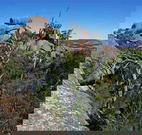 Evans Crown Nature Reserve - Sydney 4u