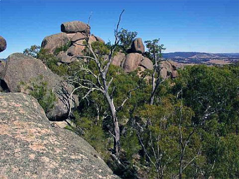 Evans Crown Nature Reserve - Sydney 4u 0