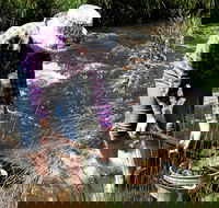 Fossicking - Sydney 4u