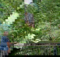 Grandis Picnic Area - Accommodation Sydney