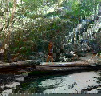 Great Beach Drive - 3 Day Itinerary - Accommodation Sydney