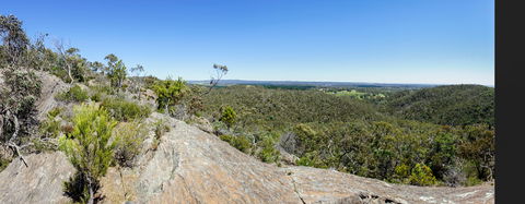 Hale Conservation Park - Accommodation Sydney 0