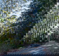 Hastings Forest Way Touring Route - Accommodation Sydney