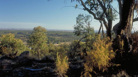 Heathcote-Graytown National Park - Sydney 4u 0