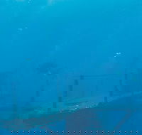 HMAS Perth - Sydney 4u