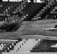 Hunter Valley Zoo - Accommodation Sydney