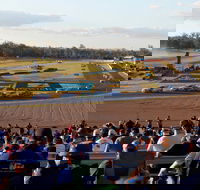 Ipswich Motorsport Precinct - Sydney 4u