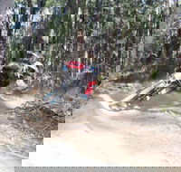 Jolly Nose Mountain Bike Park - Accommodation Sydney