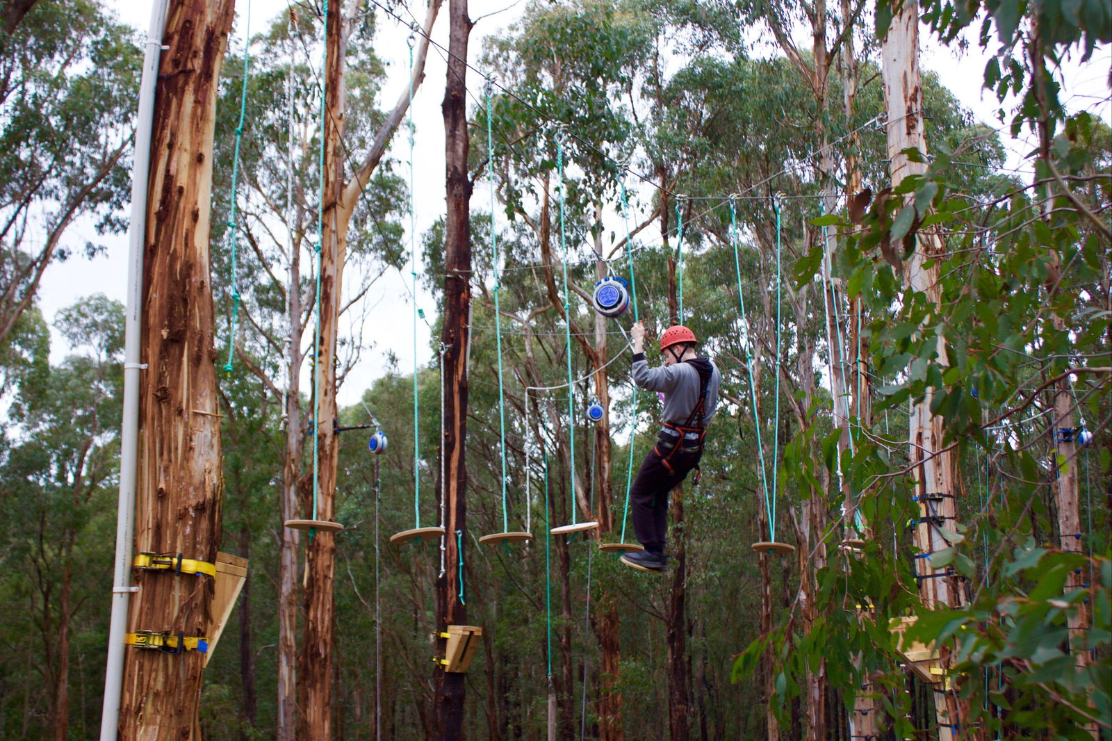 Kinglake West VIC Sydney 4u