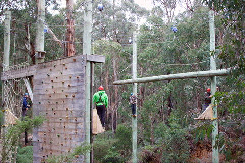 Kinglake Forest Adventures - Sydney 4u 1