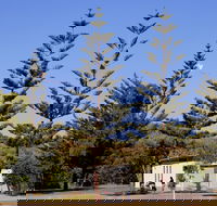 Kurrawa Park - Sydney 4u