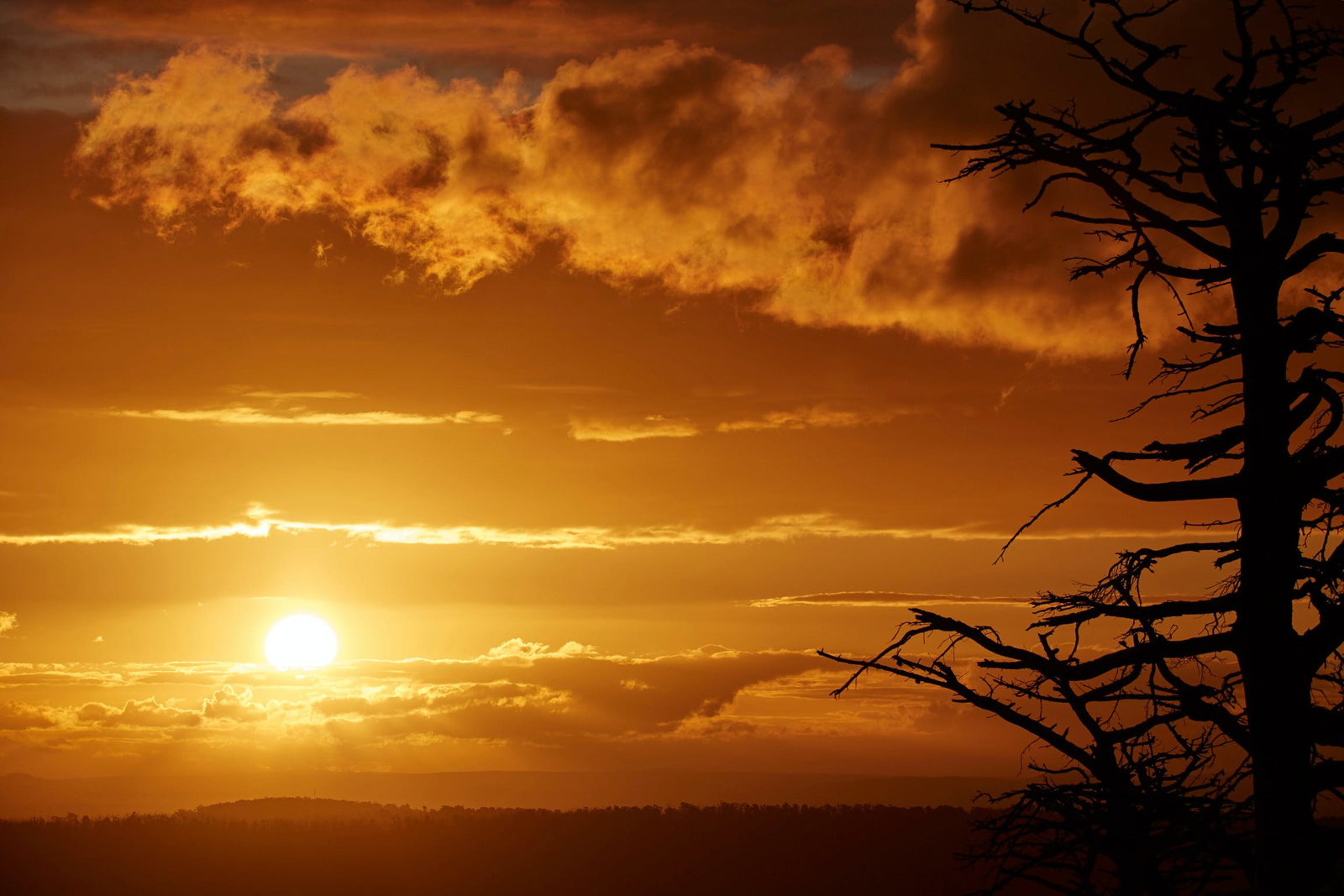 Kinglake Central VIC Sydney Resort