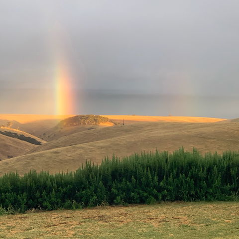 Lessismore Farm Afternoon Farmer - Accommodation Sydney 1