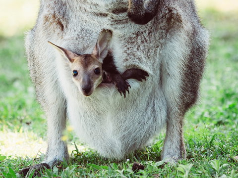 Maryborough - Accommodation Sydney 2