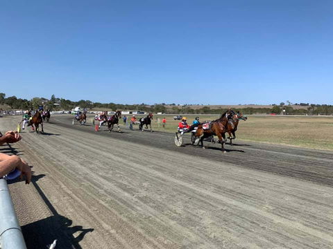 Marburg Pacing Association - Accommodation Sydney 0
