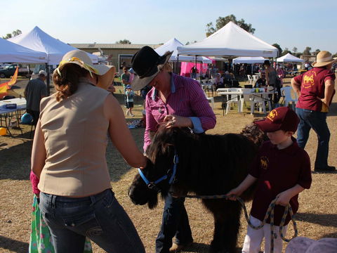 Marburg Pacing Association - Accommodation Sydney 2