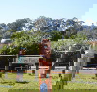 Maryboroughs Bollards - Accommodation Sydney