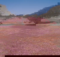 Meekatharra - Accommodation Sydney