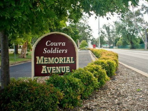 Memorial Avenue In Cowra - Accommodation Sydney 0