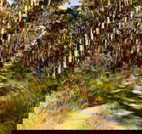 Mining Road Fire Trail Old Gibber Road Rire Trail - Accommodation Sydney