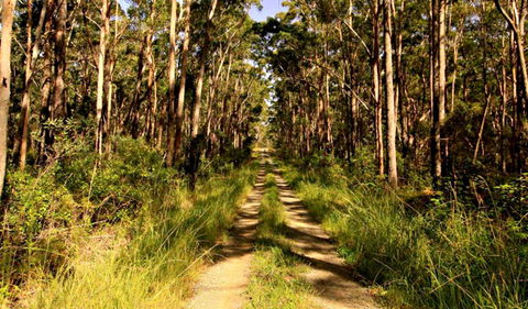 Mining Road Fire Trail, Old Gibber Road Rire Trail - Accommodation Sydney 0