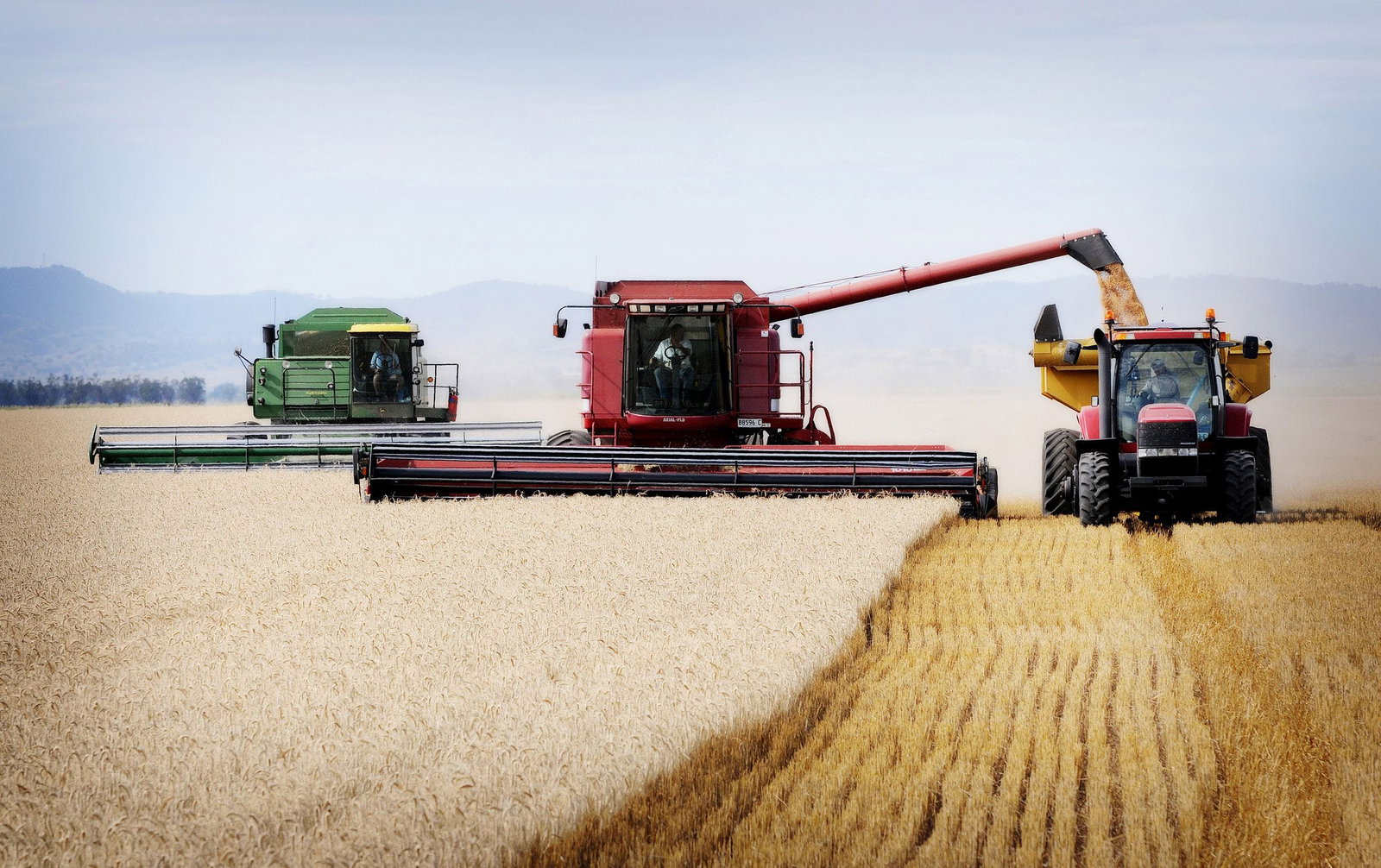 Napier Lane ACT Accommodation Sydney