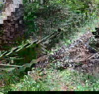 Norman Jolly Picnic Area - Accommodation Sydney