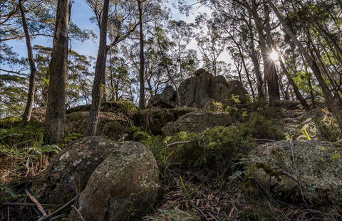 Pheasants Peak Walking Track - Accommodation Sydney 0