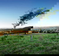 Ravensbourne National Park - Accommodation Sydney