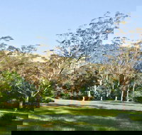 Red Cedar Flat Picnic Area - Accommodation Sydney