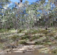 Reef Hills State Park - Sydney 4u