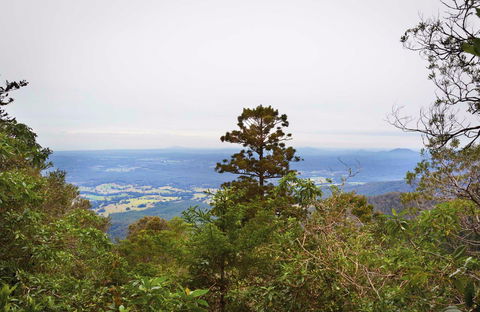 Slingsbys Trail And Syndicate Ridge Track - Accommodation Sydney 0