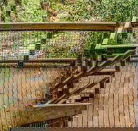 Somersby Falls walking track - Sydney 4u