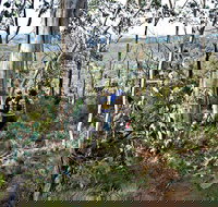 Summits Walking Track - Sydney Resort