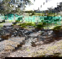 Tactical Paintball Games - Accommodation Sydney
