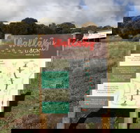 The Wallaby Track - Accommodation Sydney