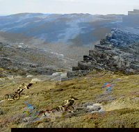 Thredbo Mountain Biking - Accommodation Sydney